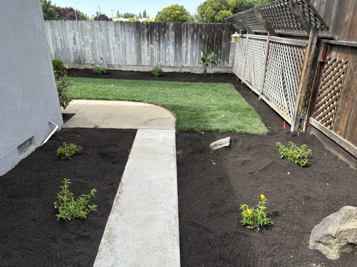 Backyard mulch with curved walkway and plantings