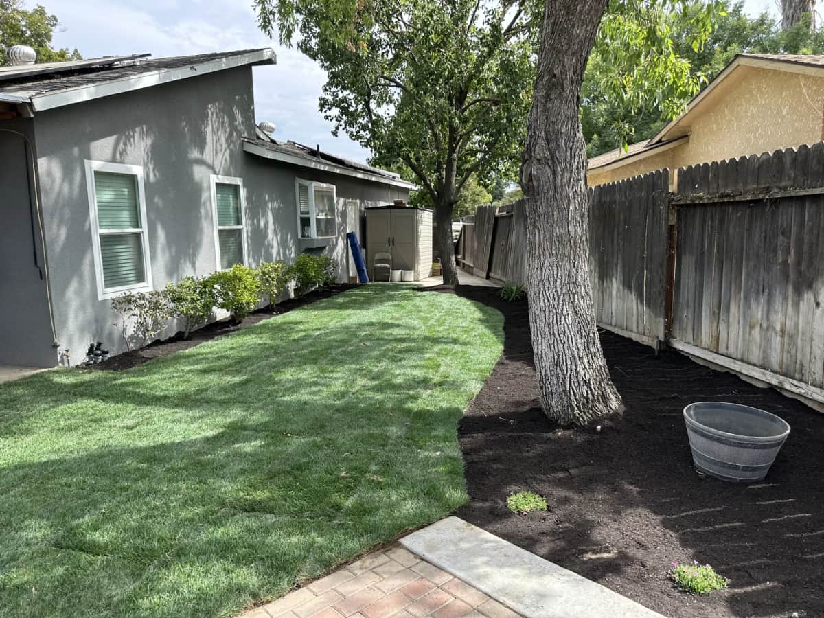 Backyard mulch beds with sod and shade tree