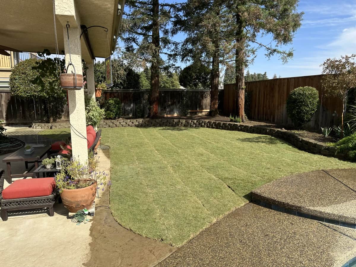 Backyard curved retaining wall with dark block