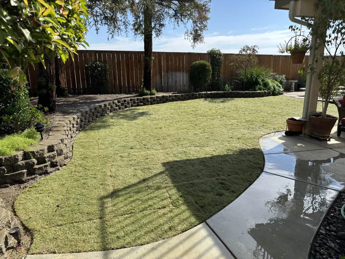Backyard curved retaining wall design — closeup
