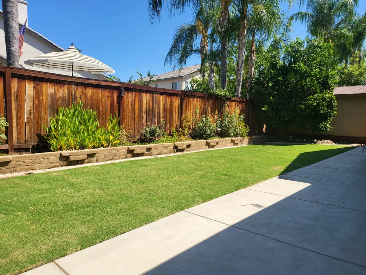 DIY vs Professional Lawn Care in Fresno: Real Costs, Equipment, & Honest Advice