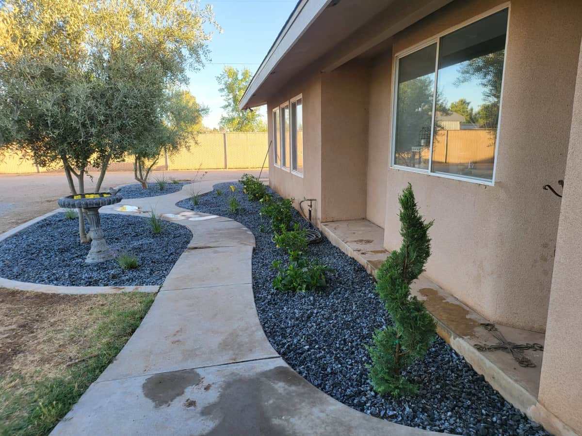 Front yard crushed rock with evergreens