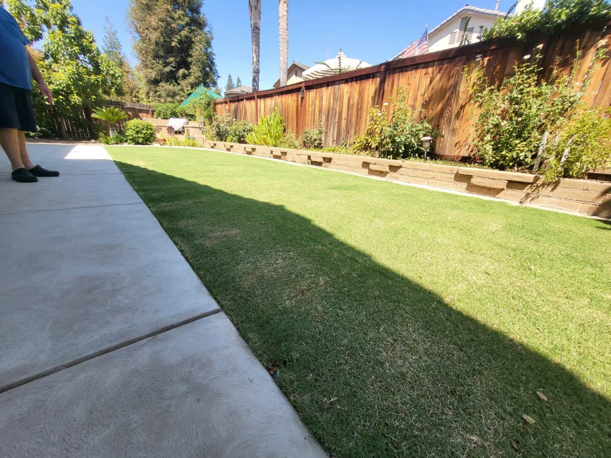 Sod backyard with retaining wall and tropical plants