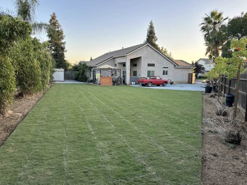 Best Time to Plant Sod in Fresno: A Seasonal Timing Guide