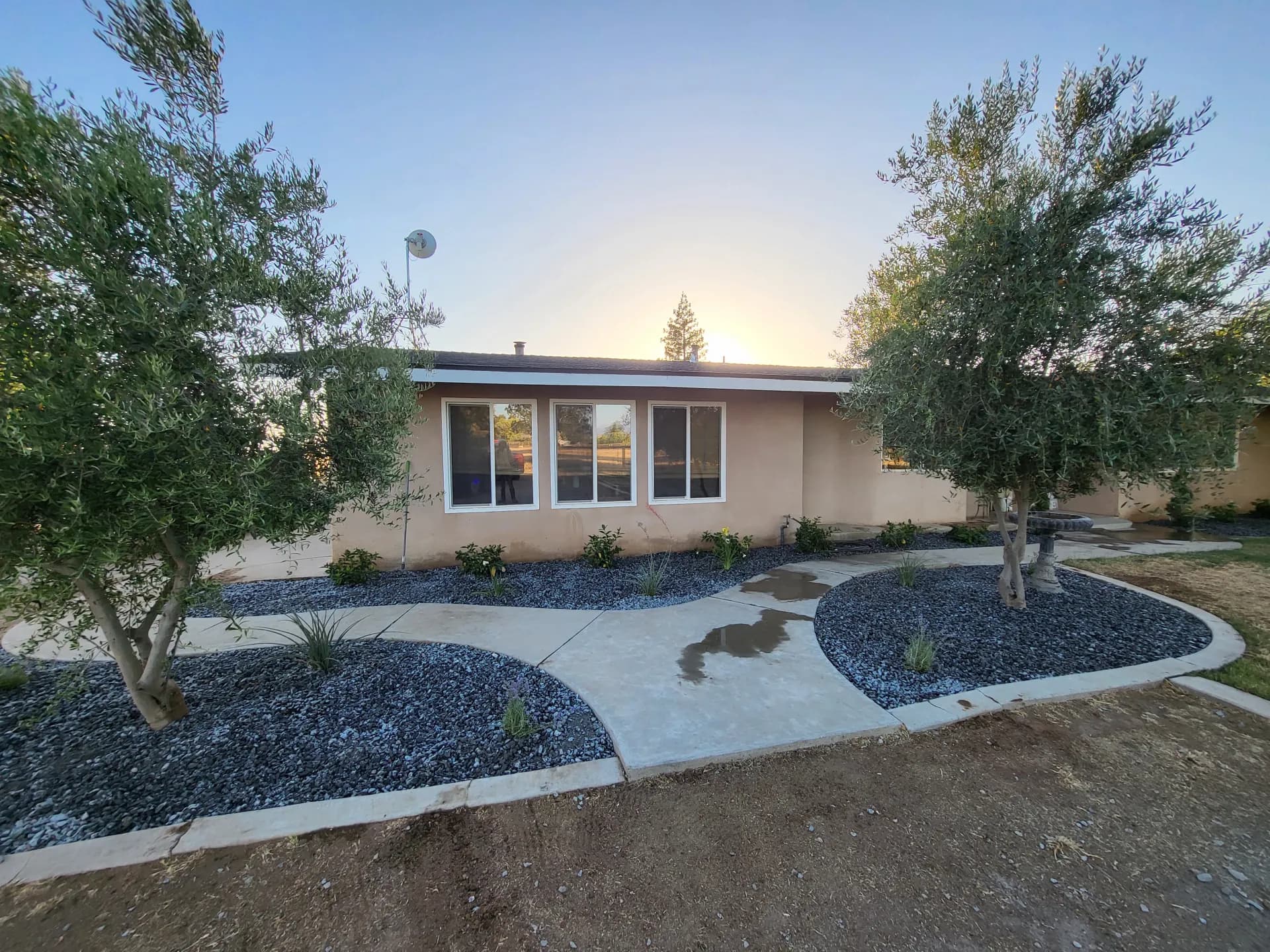 Front yard dark crushed rock with olive trees