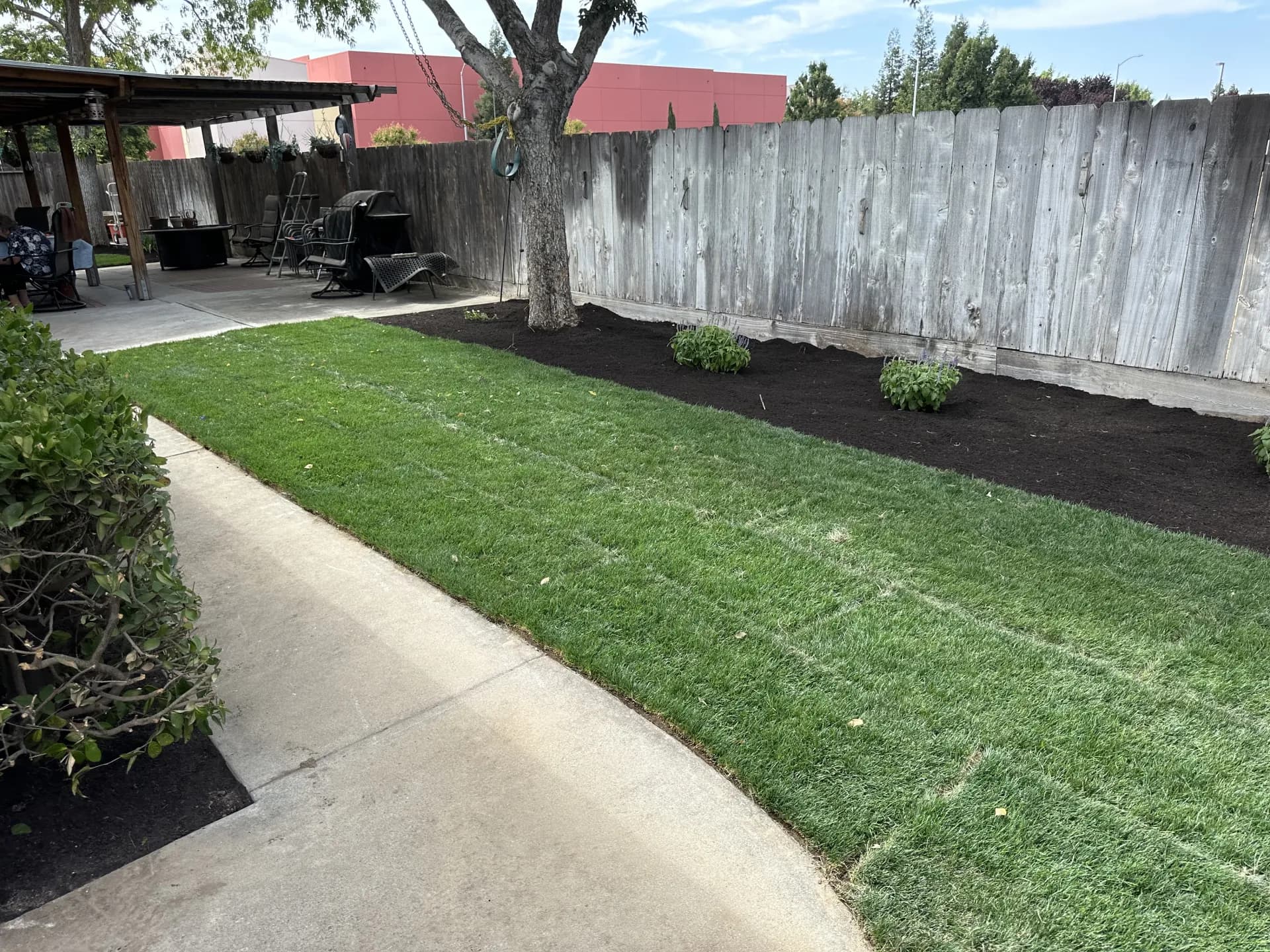 Sod backyard with walkway, mulch beds, and patio