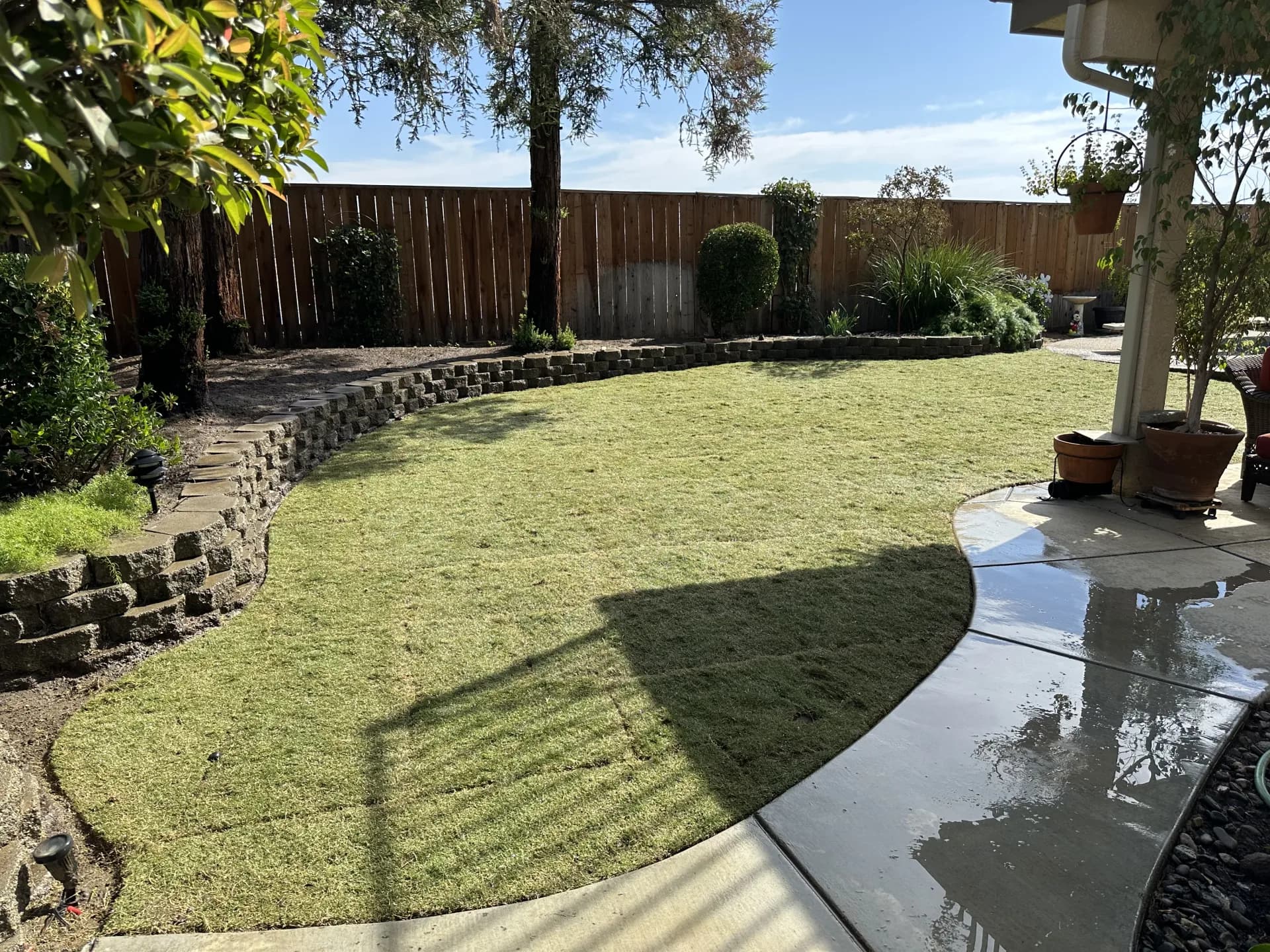 Bermuda sod backyard patio view
