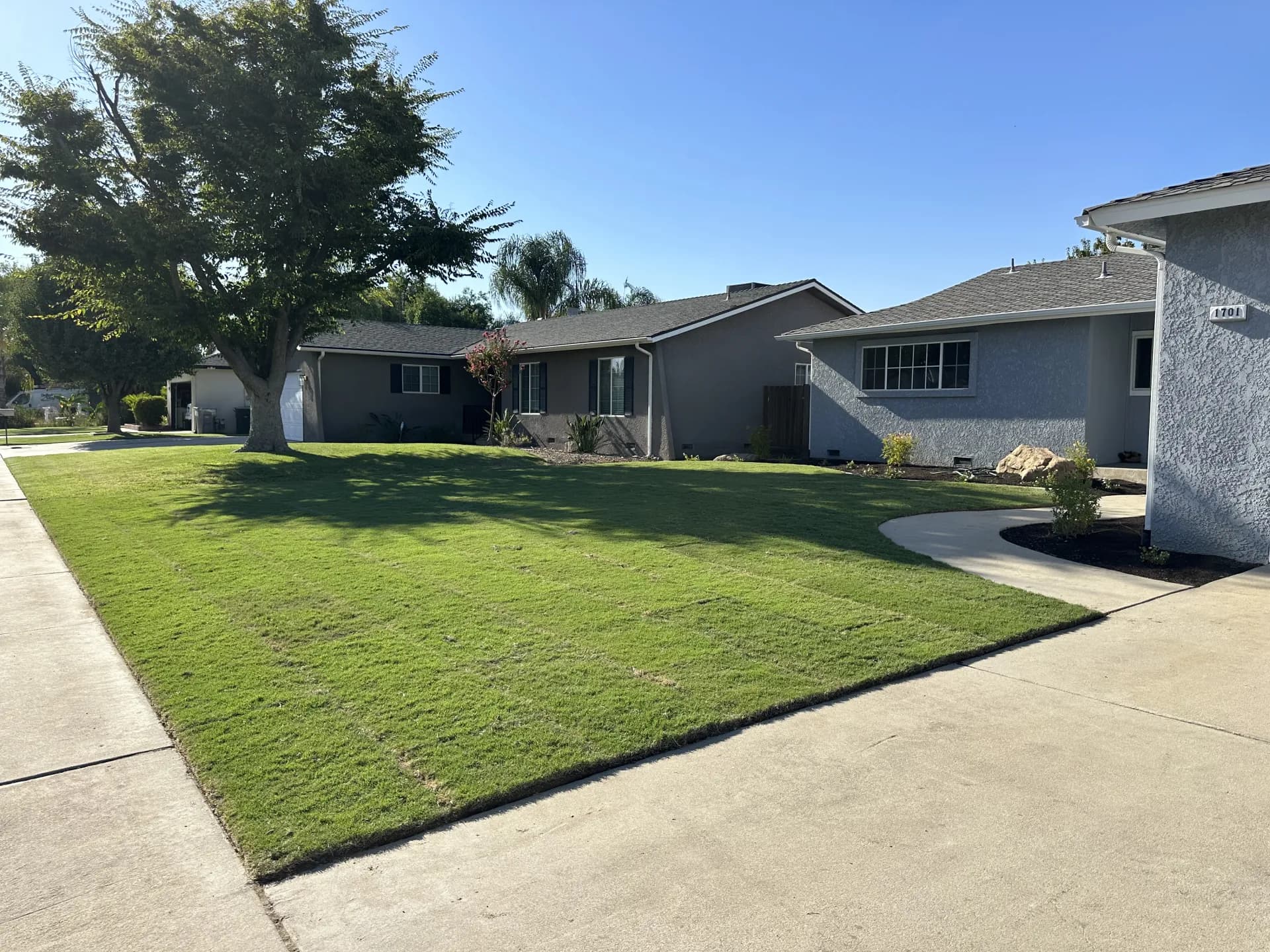 Front yard sod at ranch home with large lawn
