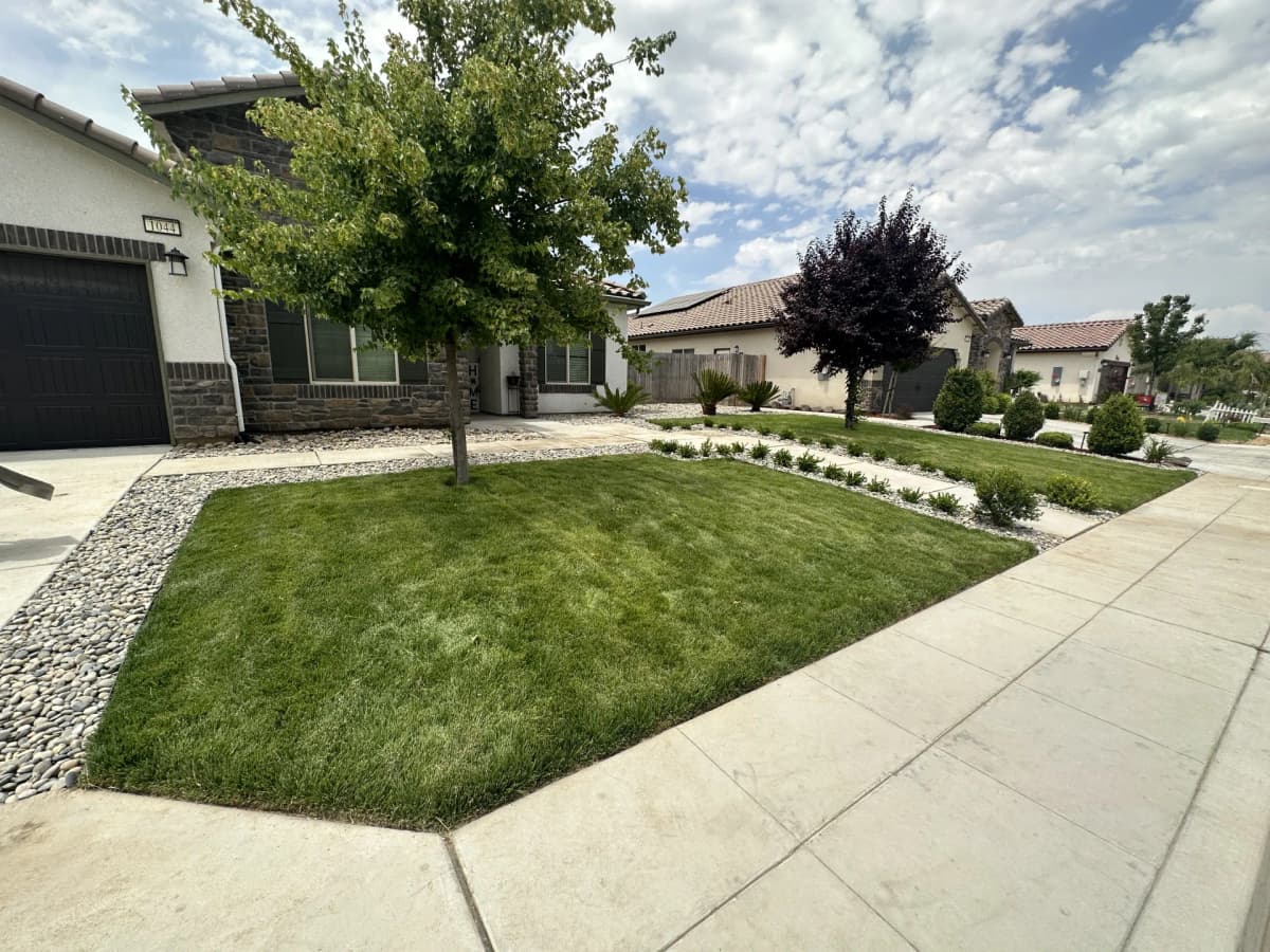 New Home in Kerman? Here's How to Landscape Your Bare Dirt Yard