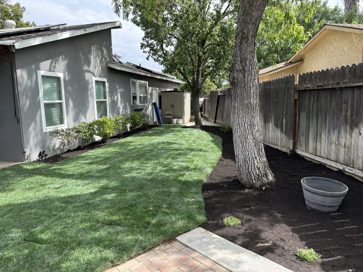 Overseeding Bermuda with Ryegrass: Keep Your Central Valley Lawn Green All Winter