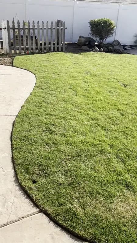 Sod backyard with landscape rocks and fence
