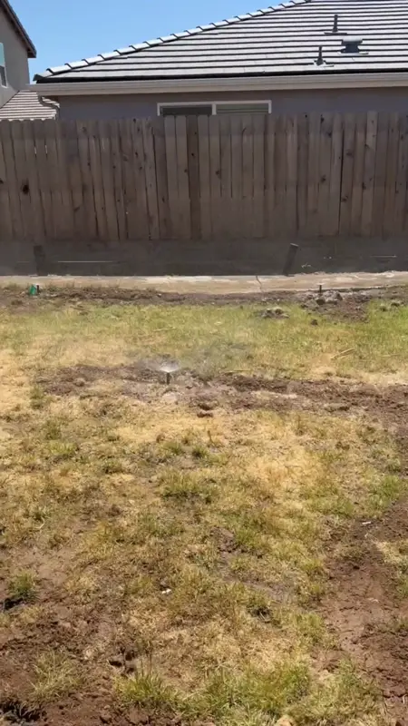 Sod backyard with stamped concrete in progress