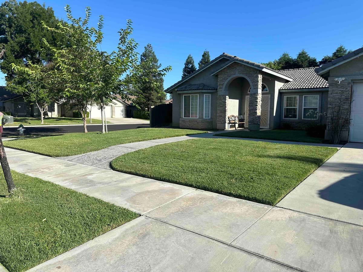 5 Lawn Care Tips for Surviving Central Valley Summers