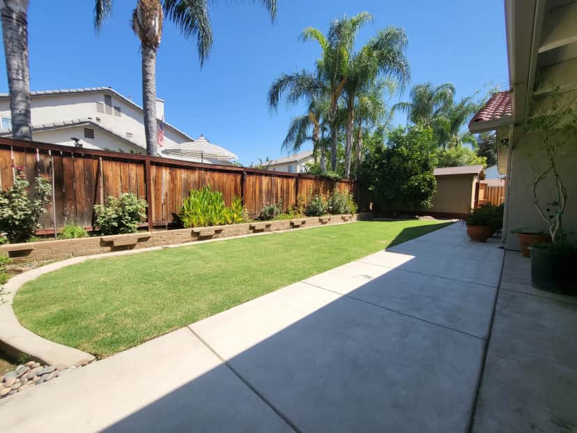 Why Is My Fresno Lawn Turning Yellow? Iron Chlorosis & Alkaline Soil Explained