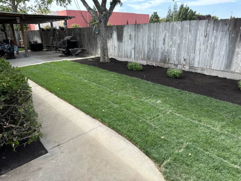 Spring Lawn Care Checklist for Fresno, Kerman & Clovis (2026)
