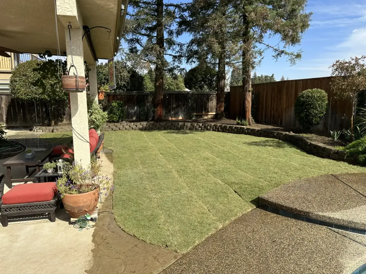 Backyard retaining wall in curved dark block, creating planting tiers