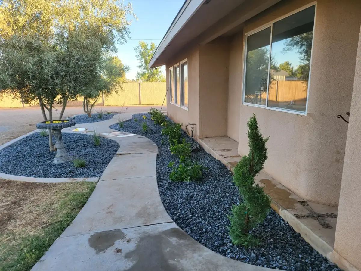 Front yard with crushed rock base and drought-tolerant evergreen plantings